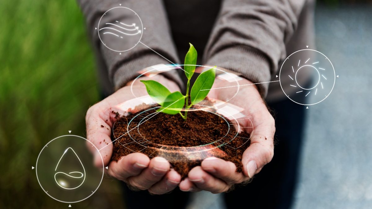 Entenda Tudo Sobre Agricultura Sustentável - Geotech Consultoria Ambiental